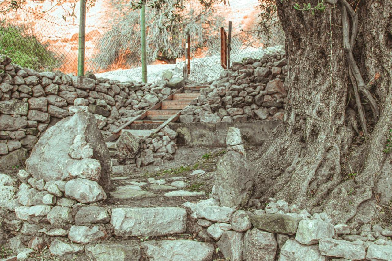 Hobbit Village Dana Bagian luar foto